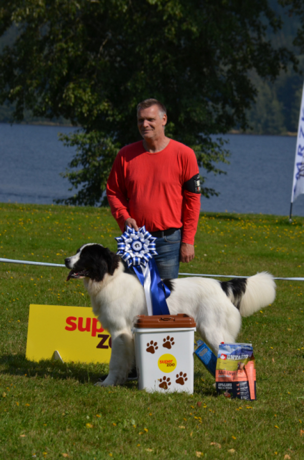 Landseer klub ČR, Special dogshow, Lipno, Přední výtoň