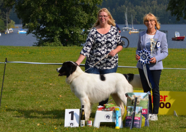 Landseer klub ČR, Special dogshow, Lipno, Přední výtoň