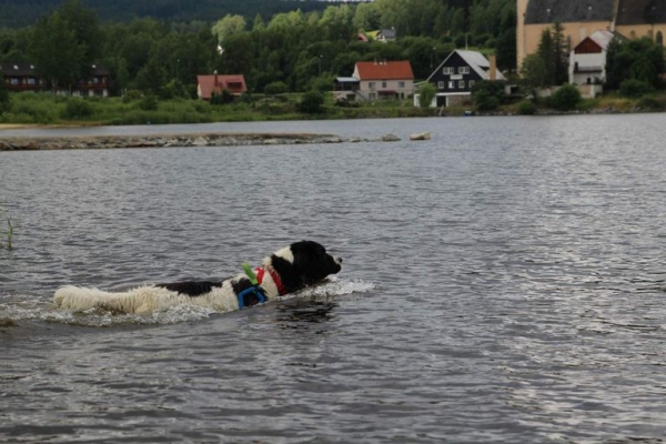 Plav Lipno 2019 foto 2