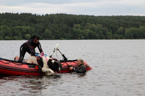 Plav Lipno 2020 foto 2