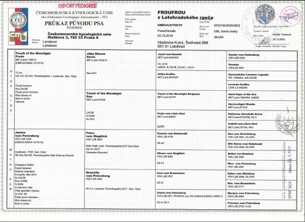 Frou-Frou pedigree page1