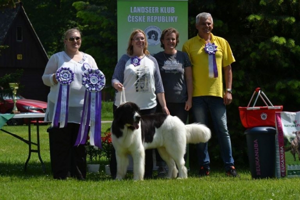 Landseer Club CZ champion foto 3